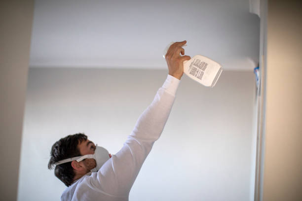 Best Professional Mold Removal  in Spring Valley, NV