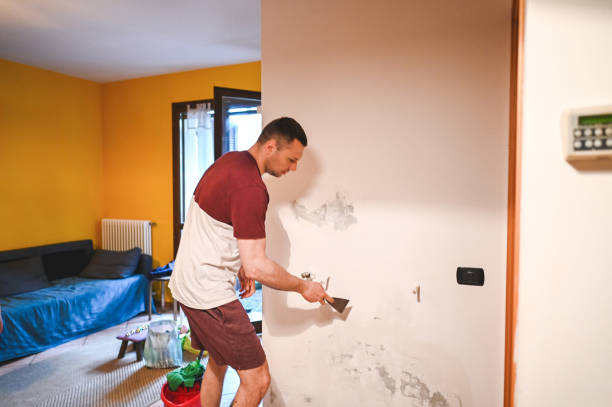 Best Office Mold Removal Services  in Spring Valley, NV